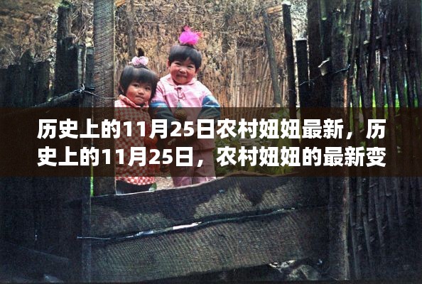 农村妞妞的最新变迁，历史上的11月25日回顾与展望