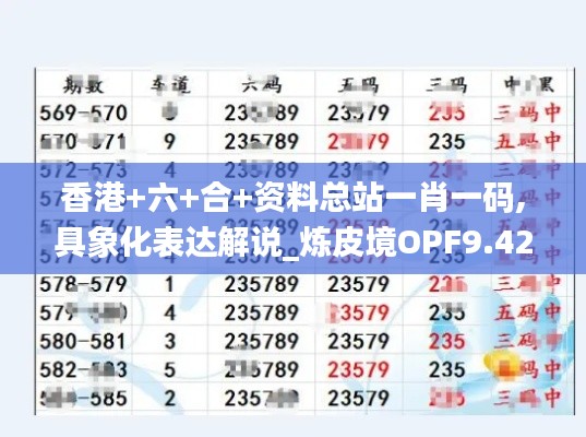 香港+六+合+资料总站一肖一码,具象化表达解说_炼皮境OPF9.42