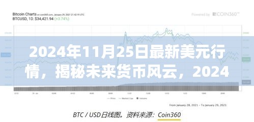 2024年11月25日最新美元行情，揭秘未来货币风云，2024年美元行情的高科技体验之旅