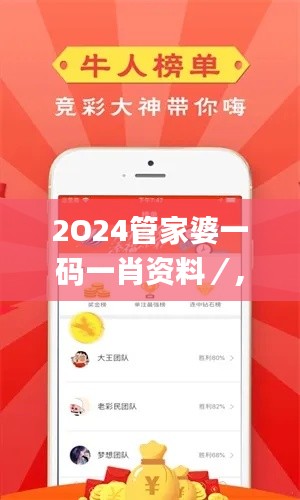 2O24管家婆一码一肖资料／,释意性描述解_创意版NCD9.91
