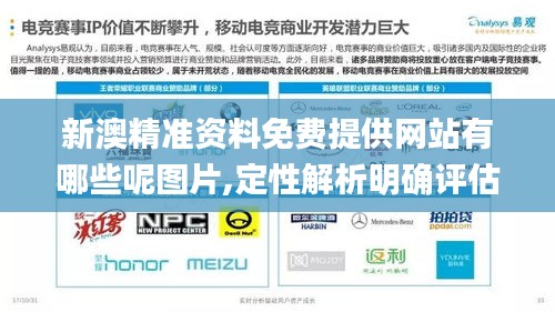 新澳精准资料免费提供网站有哪些呢图片,定性解析明确评估_商务版GZF9.48