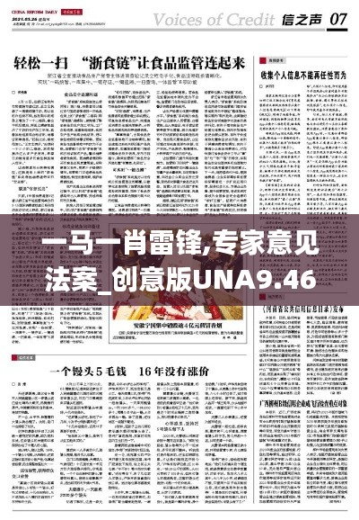 一马一肖雷锋,专家意见法案_创意版UNA9.46