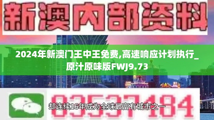2024年新澳门王中王免费,高速响应计划执行_原汁原味版FWJ9.73