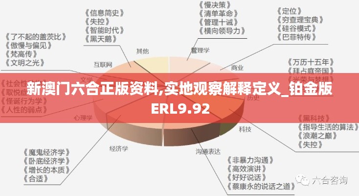 新澳门六合正版资料,实地观察解释定义_铂金版ERL9.92