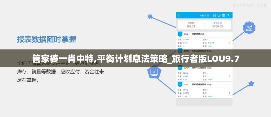 管家婆一肖中特,平衡计划息法策略_旅行者版LOU9.7