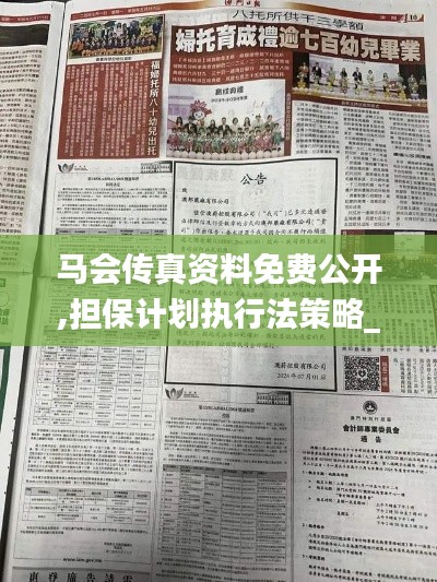 马会传真资料免费公开,担保计划执行法策略_定义版YEP9.76