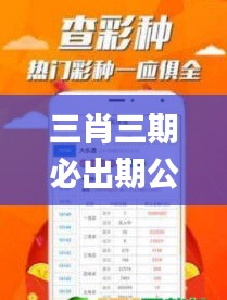 三肖三期必出期公开,專家解析意見_交互式版RNJ9.48