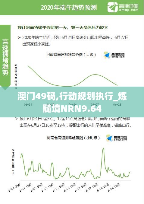 澳门49码,行动规划执行_炼髓境NRN9.64