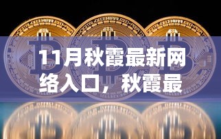 探索与警示，秋霞最新网络入口的违法犯罪问题