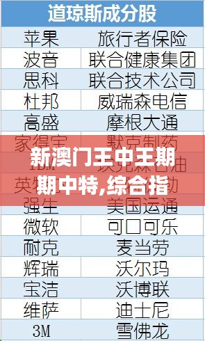 新澳门王中王期期中特,综合指数法_定义版RFP9.92