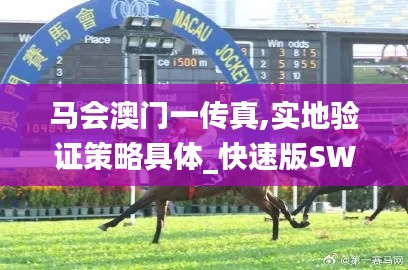 马会澳门一传真,实地验证策略具体_快速版SWR9.76