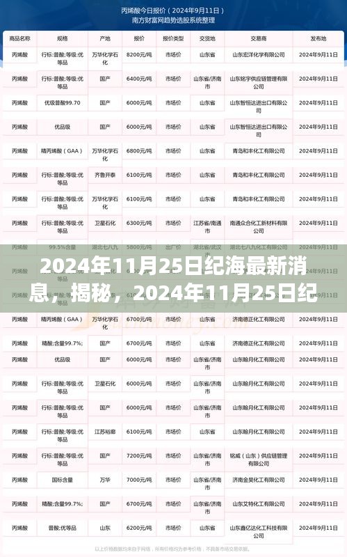 揭秘纪海最新动态，深度解读背后的故事（最新更新日期，2024年11月25日）