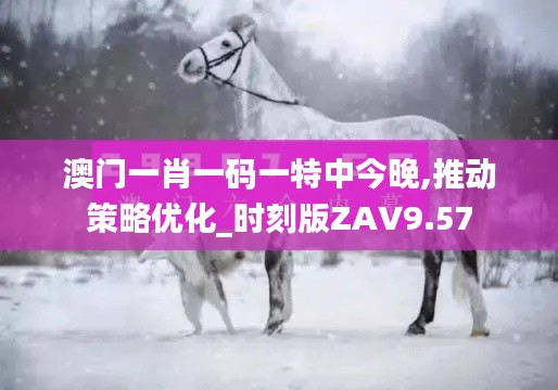 澳门一肖一码一特中今晚,推动策略优化_时刻版ZAV9.57