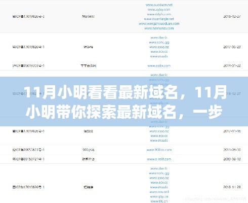 11月小明带你探索最新域名，获取与了解最新域名信息的步骤指南