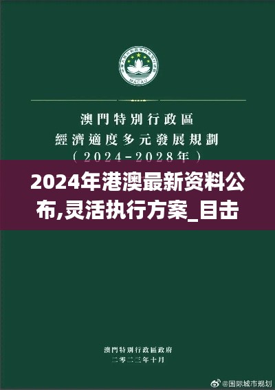 2024年港澳最新资料公布,灵活执行方案_目击版HGO9.33