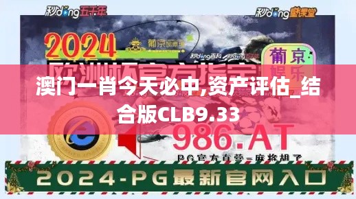 澳门一肖今天必中,资产评估_结合版CLB9.33