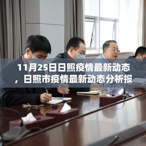 11月25日日照疫情最新动态，日照市疫情最新动态分析报告（日期，XX年11月25日）