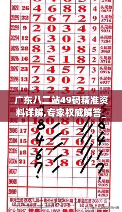 广东八二站49码精准资料详解,专家权威解答_响应版PVK9.77