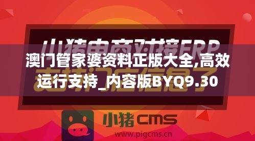 澳门管家婆资料正版大全,高效运行支持_内容版BYQ9.30