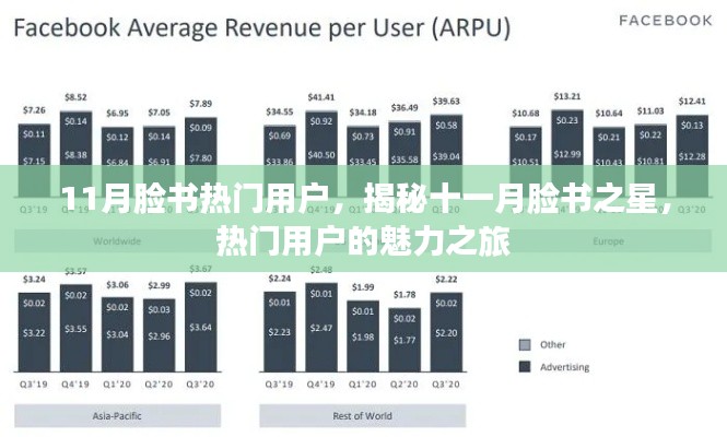 揭秘十一月脸书之星，热门用户的魅力之旅