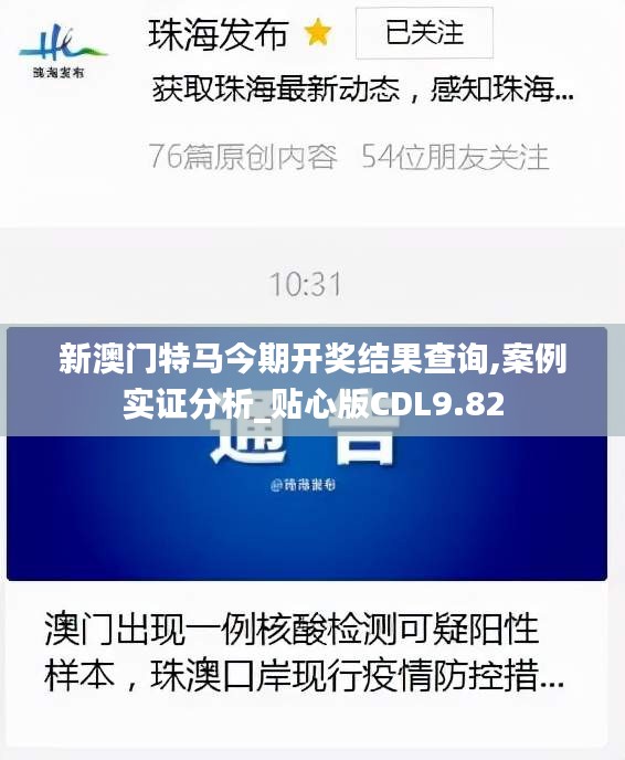 新澳门特马今期开奖结果查询,案例实证分析_贴心版CDL9.82