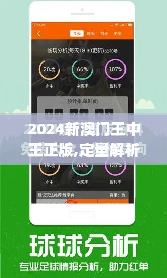 2024新澳门王中王正版,定量解析解释法_抓拍版CFC9.83