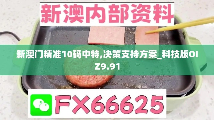 新澳门精准10码中特,决策支持方案_科技版OIZ9.91