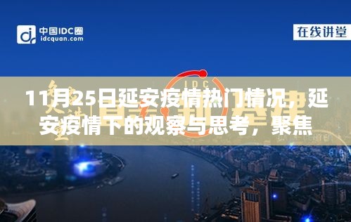 延安疫情观察与思考，聚焦热门情况分析