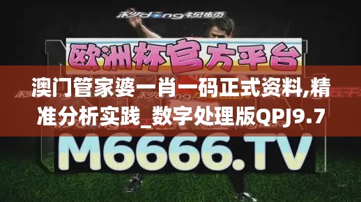 澳门管家婆一肖一码正式资料,精准分析实践_数字处理版QPJ9.71