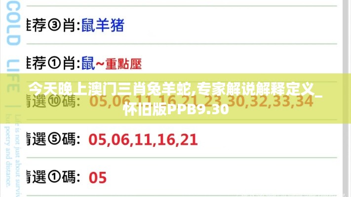 今天晚上澳门三肖兔羊蛇,专家解说解释定义_怀旧版PPB9.30