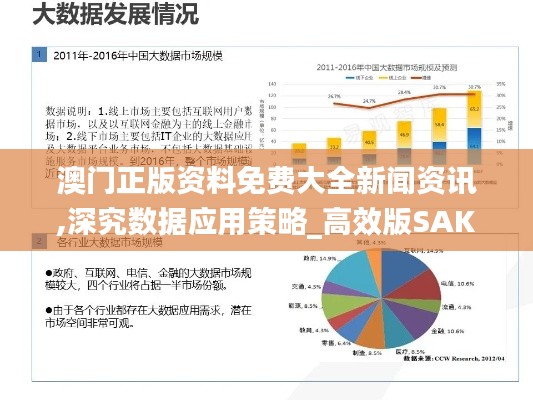 澳门正版资料免费大全新闻资讯,深究数据应用策略_高效版SAK9.87