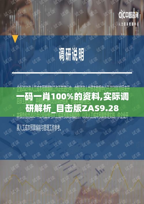 一码一肖100%的资料,实际调研解析_目击版ZAS9.28