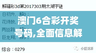 澳门6合彩开奖号码,全面信息解释定义_持久版FWE9.53