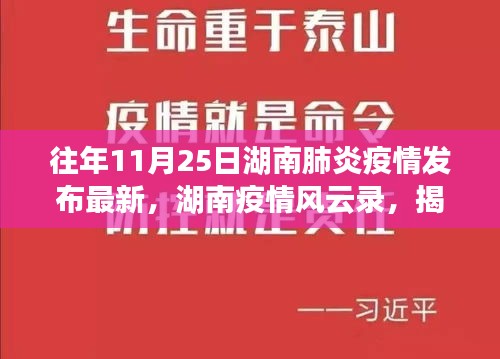 揭秘湖南疫情风云录，往年11月湖南肺炎疫情最新动态与影响回顾