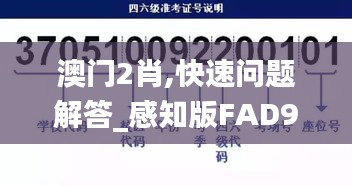 澳门2肖,快速问题解答_感知版FAD9.90
