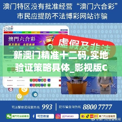 新澳门精准十二码,实地验证策略具体_影视版CNK9.42