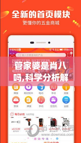 管家婆是肖八吗,科学分析解释说明_怀旧版QTS9.3