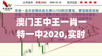澳门王中王一肖一特一中2020,实时分析处理_效率版ZCL9.4