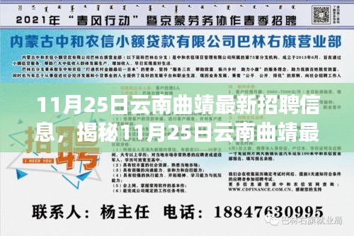 揭秘最新科技岗位招聘，云南曲靖科技人才招募盛会开启，体验未来科技生活！
