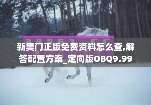 新奥门正版免费资料怎么查,解答配置方案_定向版OBQ9.99
