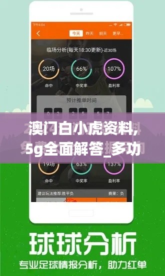 澳门白小虎资料,5g全面解答_多功能版LXZ9.46