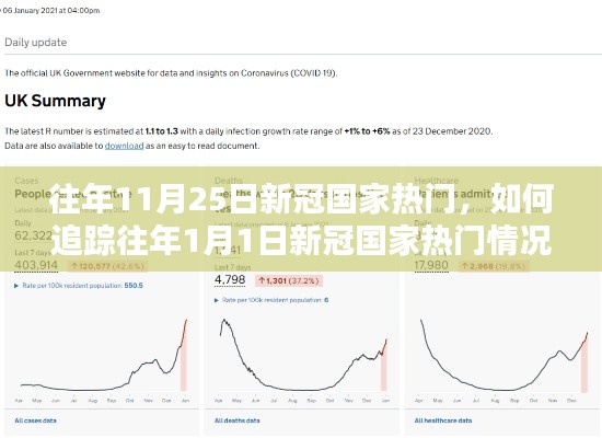 新冠国家热门追踪指南，从初学者到进阶用户的历年1月1日与往年11月25日数据探索