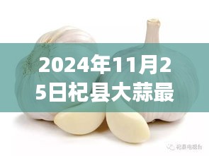 物是人非 第5页
