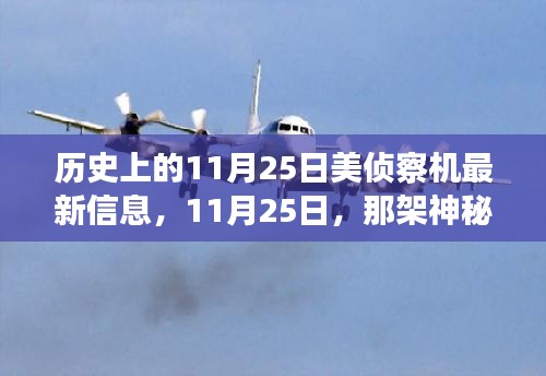 神秘侦察机揭秘，历史上的11月25日与温馨日常的交汇点
