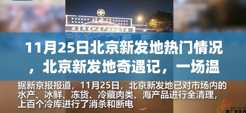 北京新发地奇遇记，秋日盛宴的温馨热闹盛况