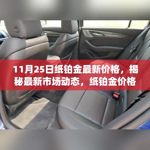 揭秘最新市场动态，11月25日纸铂金价格走势分析与最新报价