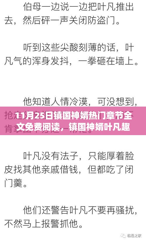 镇国神婿，叶凡的友情与温馨日常免费阅读热门章节