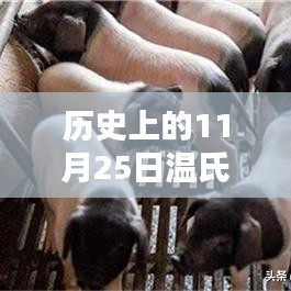 奔走如飞 第4页