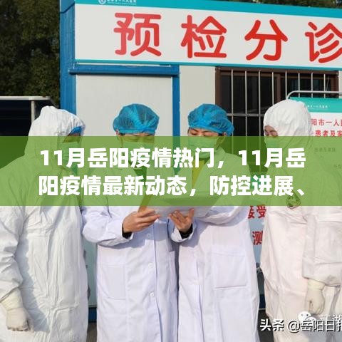 岳阳疫情最新动态，防控进展、热点解读与案例分析（十一月版）