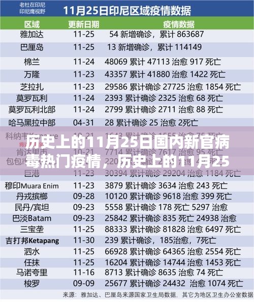 历史上的11月25日国内新冠病毒疫情详解与防护指南